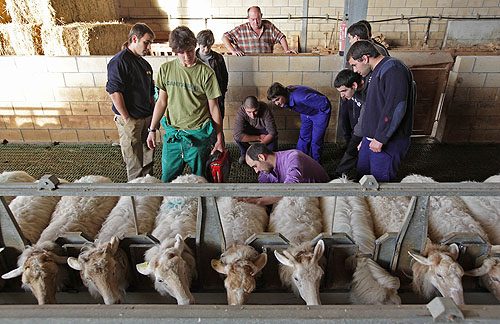 artzai ikasleak formakuntzan