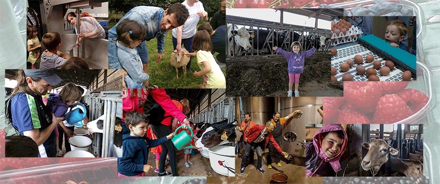 ate irekien ihardunaldiak