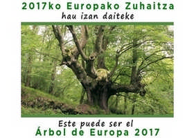 Altzo, pagomotza eta erraldoia baino are gehiago