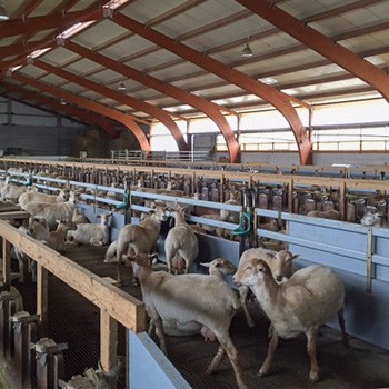 Agerre Berri baserria