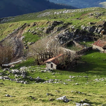 Elutxeta Goikoa borda