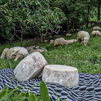 Lamariano azpikoa baserria