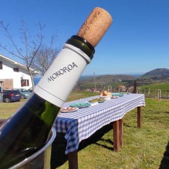 Mokoroa txakolindegia