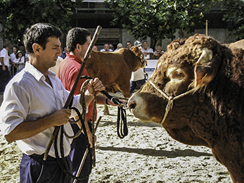 Oiarbi-Saletxe baserria